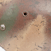 CBH18B.gif